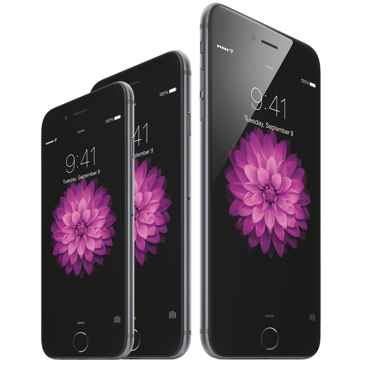 Компания Apple решила отменить выпуск 4-дюймового iPhone 6C